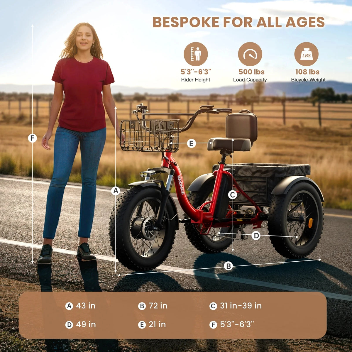 Qronge Adult Electric Tricycle 960W Peak Motor Fat Tire