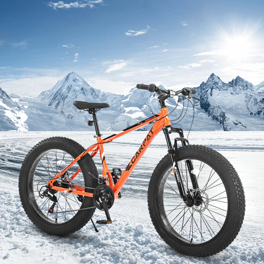 Fat Tire Mountain Bike 21 Speed Dual Disc Brake System