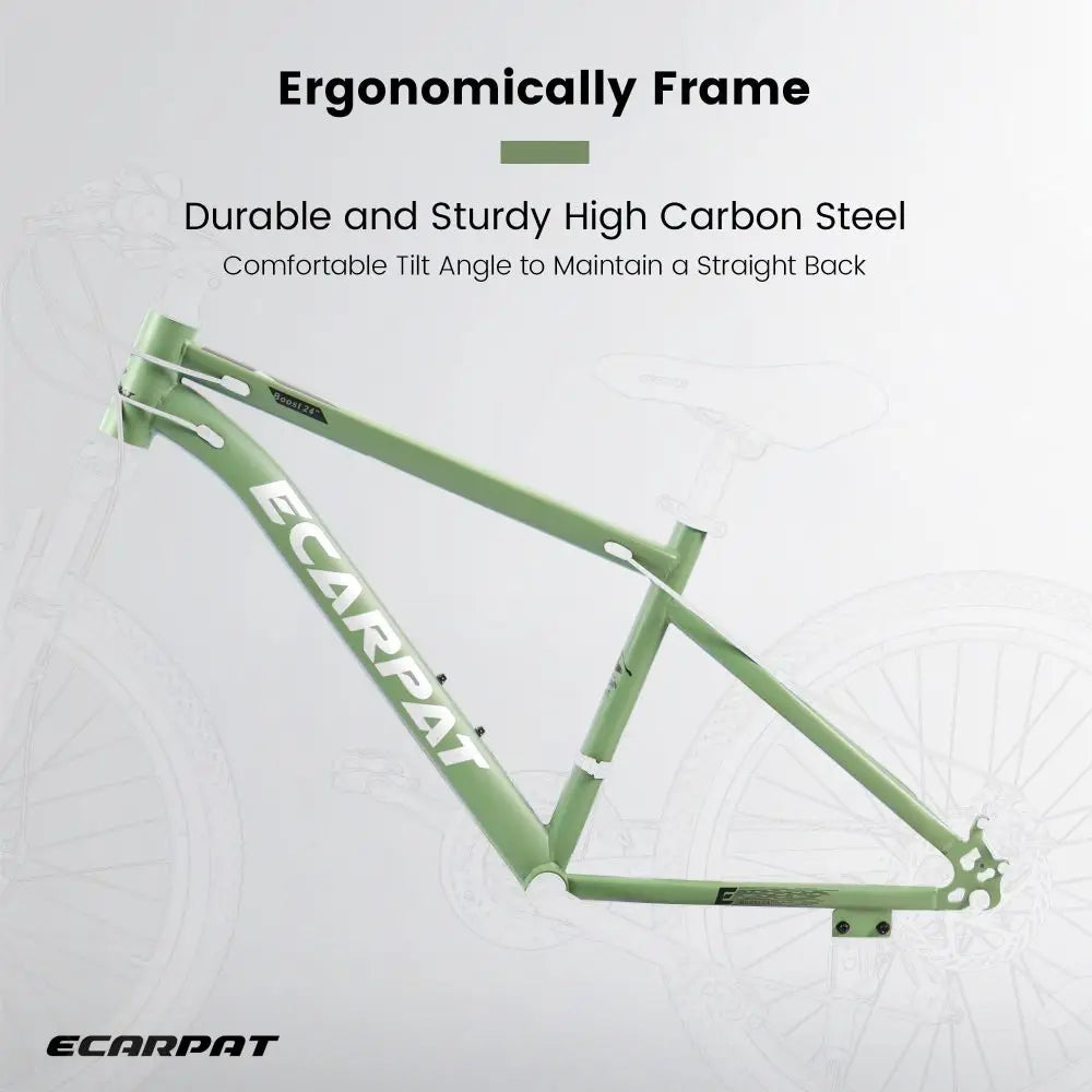 Teen Mountain Bike With Carbon Steel Frame And Disc Brakes