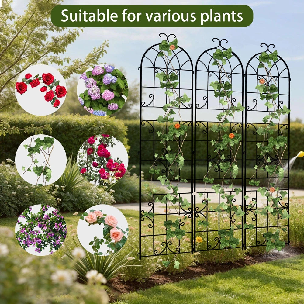 Tall Rustproof Metal Garden Trellis For Climbing Plants