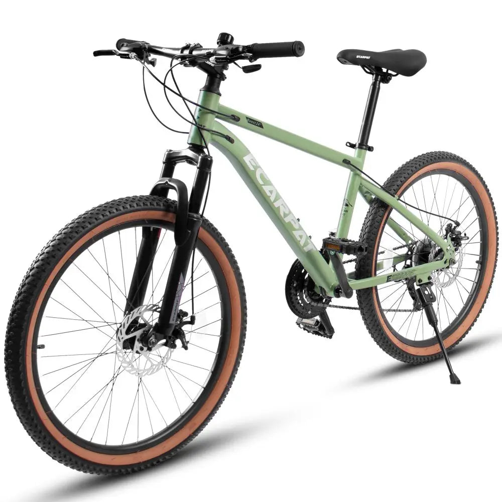 Teen Mountain Bike With Carbon Steel Frame And Disc Brakes
