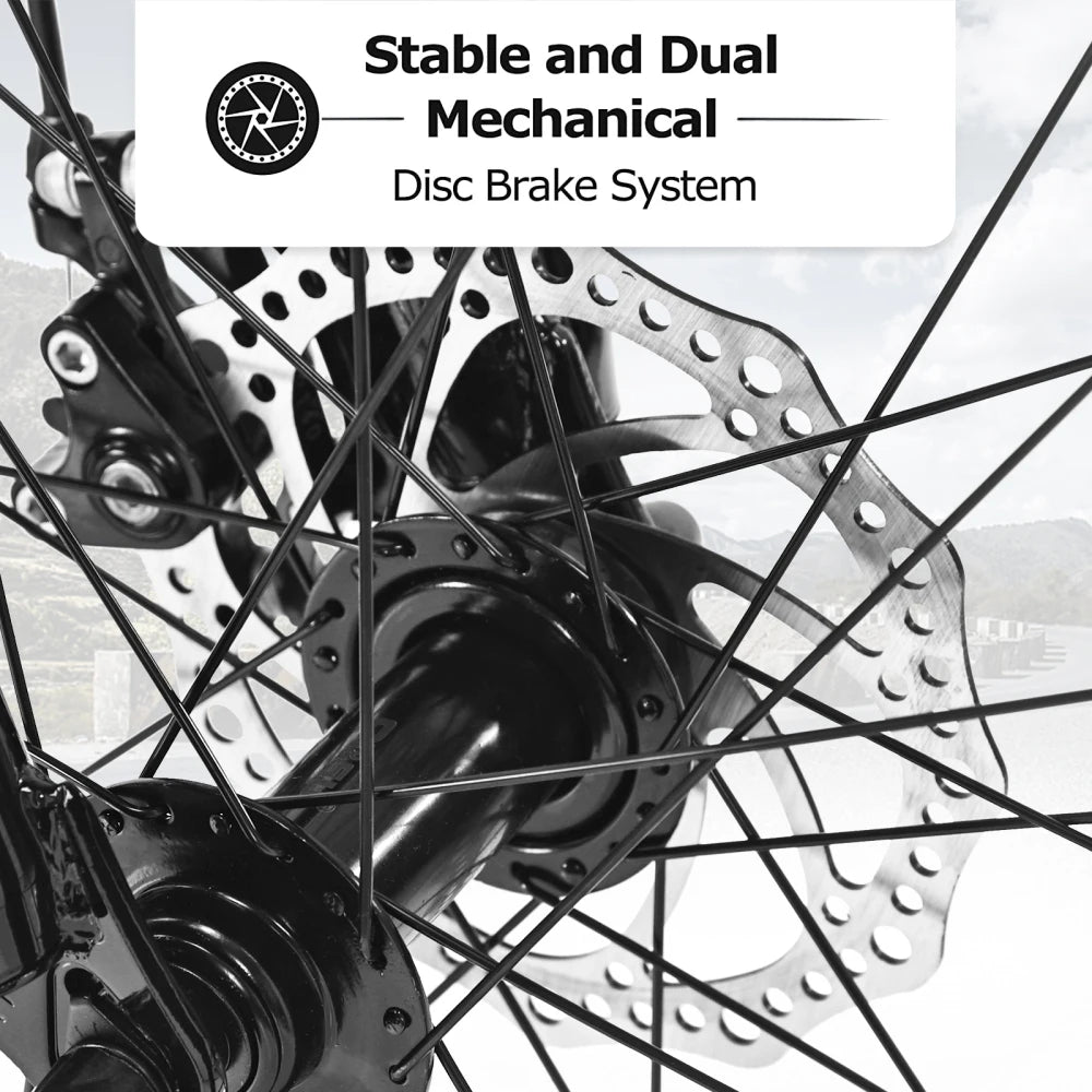 Fat Tire Mountain Bike 21 Speed Dual Disc Brake System